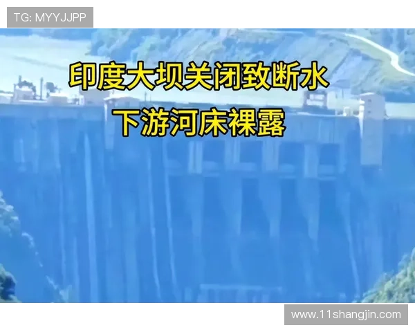 中国与印度的激烈比赛：历史、现状与未来展望